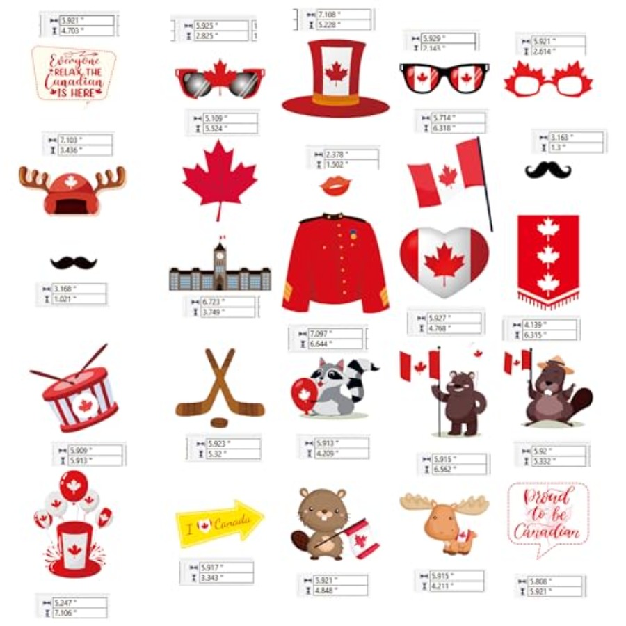 Canada Day Photo Booth Props D - Wedding Supply Canada recensie en prijs